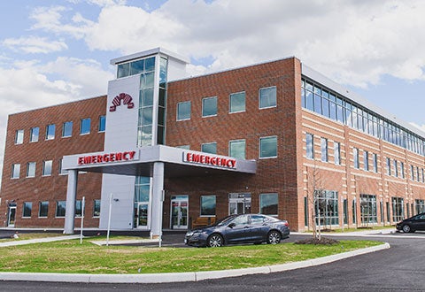 Used as main image by Phynd in search results and profile page