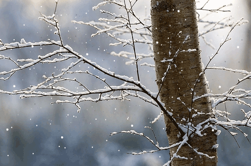 The Winter Blues: Managing Seasonal Affective Disorder