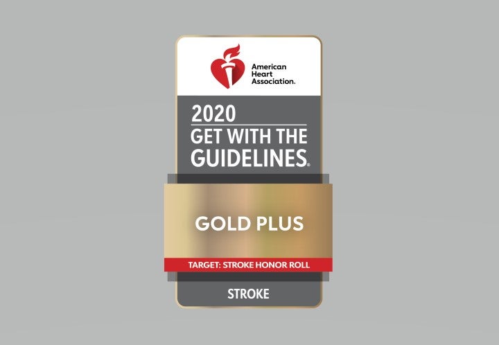 Get with the Guidelines ® Stroke Gold Plus with Honor Roll